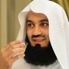 Sheikh Ismail Mufti Menk Audio icon