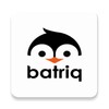 Batriq icon