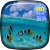 Blue Ocean Waves Live Wallpap icon