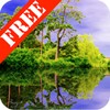 Forest Pond Free icon