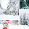 Snow Wallpapers & Background icon