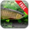 ไอคอน Arowana Free