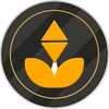 B Gold Network icon