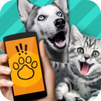 Dog deals translator website