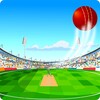 Crazy Cricket icon