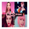 BlackPink Songs Offline icon