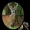 Icône Deer Hunting