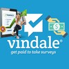 Survey money vindale icon