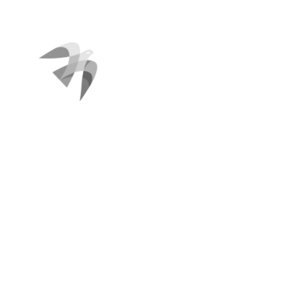 BGram for Android - Download the APK from Uptodown