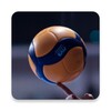 Icono de Volleyball Wallpaper