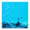 Water Drops Live Wallpaper icon