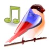 أيقونة Birds Sounds Relax and Sleep