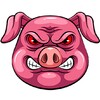 Angry Pig icon