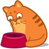 CatsWidget icon