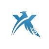 x2y Devs Tools icon