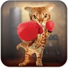 Boxing Cat icon