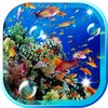 Blue Lagoon Fishes Life LWP icon