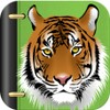 أيقونة Imágenes de tigres