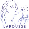 Larousse Dictionnaire Anglais icon