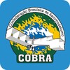 COBRA icon