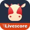 Calfscore-Sports livescore icon