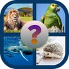 Adivina el Animal - Quiz 2020アイコン
