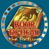 Book of Dead the fortune icon