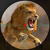 Wild Lion Hunt: Archery Hunter icon
