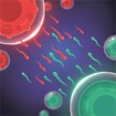 Cell Expansion Wars feature