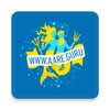 aare.guru icon