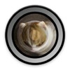 Икона Fisheye Camera Lenses