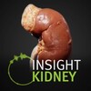 Icono de Insight Kidney