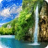 Forest Waterfall Live Wallpaper icon