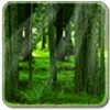 RealDepth Forest Free Live Wallpaper icon