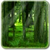 أيقونة RealDepth Forest Free Live Wallpaper