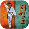 Taekwondo Pro icon