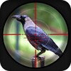 Forest Crow Hunting - 3D icon