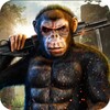 Angry Gorilla Apes City Games 图标