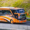 Bus Lintas Jawa Basuri Offline icon