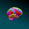Brain and Nervous System 3D icon
