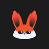 Fanki icon