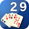 29 card game icon