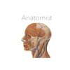 Икона Anatomist