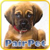 PairPet icon