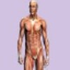 أيقونة Anatomy and Physiology