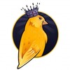 Icon von Canary Kingdom-AK