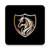 Ford VPN icon