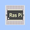 Raspberry Pi Workshop icon