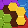 Hexa Wood Puzzle icon