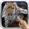 Magic Touch: Leopard Live Wall icon